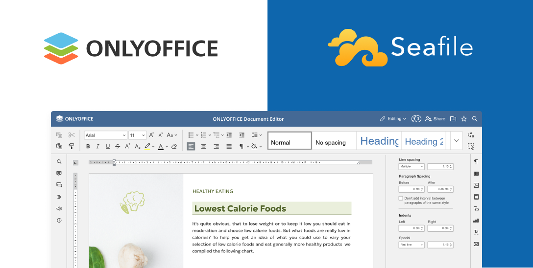 OnlyOffice Implementation